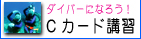 C�J�[�h�u�K