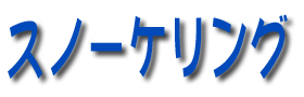 �X�m�[�P�����O