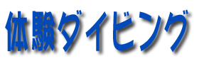 �̌��_�C�r���O