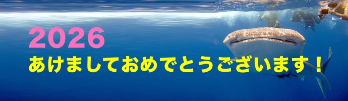 アクアデートHPトップ画像